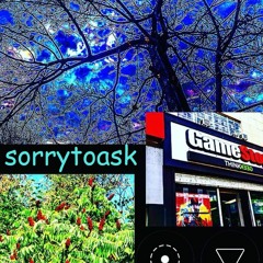 sorry to ask (prod. xmichaelwarren & remghost)
