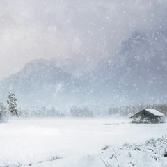 The years passing by - Download