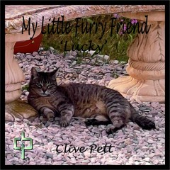 My Little Furry Friend