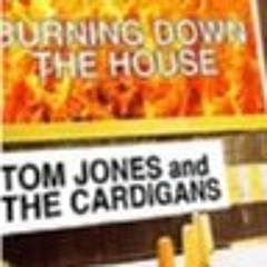 Wilstarmbel&Habibass - "Burning Down The House" by the Talking Heads(Tom Jones & Cardigans version)