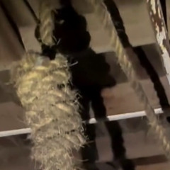 scary man