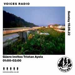 Voices Radio w/ Tristan Ayela [19.06]