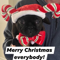 "All I Want For Christmas" by Dj Carlos Nascimento (Peak Hour)