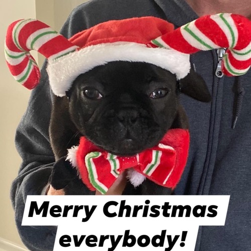 "All I Want For Christmas" by Dj Carlos Nascimento (Peak Hour)