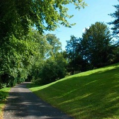 Jan24 Clips <3 +51five, Cloudlobby, Troiner, Heyitsbenji, Kojo