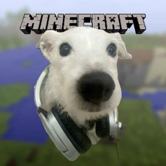 dog freestyle w/ sev