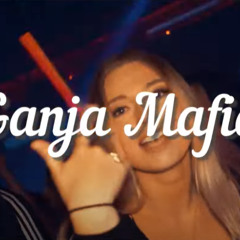 Ganja Mafia - Pole Marysi ( MRK VIXA MASHUP 2025)