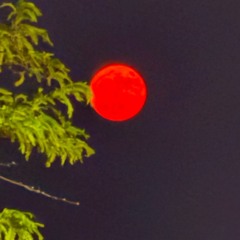 (I will stay by your side🤲🏾📿💯).m4a