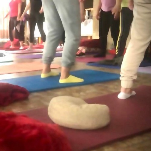 Practica Scuturatului