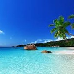 Fijian Vibes