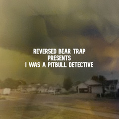 I Was A Pitbull Detective
