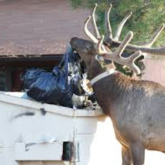 Hard For The Intelligent