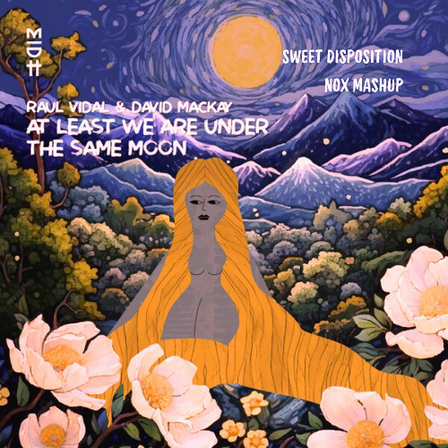 Raul Vidal & David Mackay - Sweet Disposition x At least we are under the same Moon (NOX Edit)