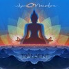 Video herunterladen: StereOMantra - 'TRANSIENT' full mixed album [OM Mantra Records, 2022]