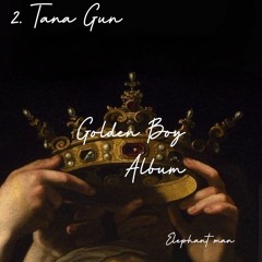 2.  Caine & Elephant Man - Tana Gun _ ( Virgin Riddim )
