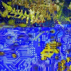 MICROCHIPS