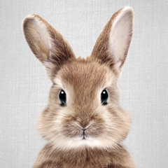 Insomniac Rabbit (Extended Mix)