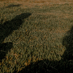 S O L U B I L I D A D E