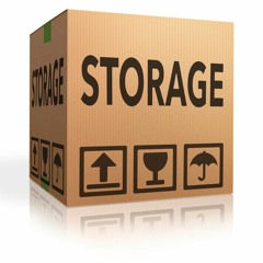 TazzyB - Storage  ( Sample )