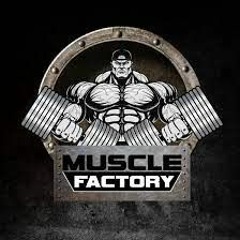 Asia #1 Strength Gym: Muscle Factory Owner Interview