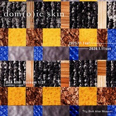 dom(o)ic skin @BnA Alter Museum