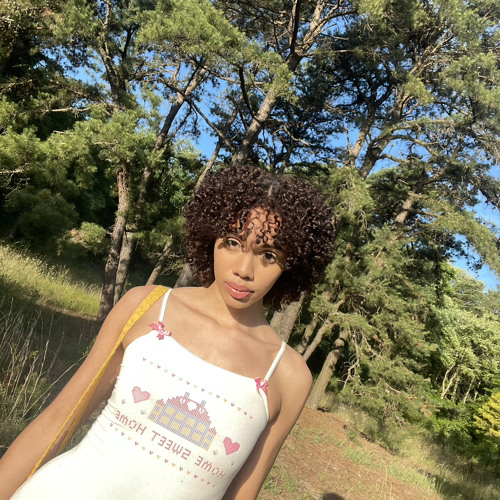 DREAM (Prod. gxdhxnd)