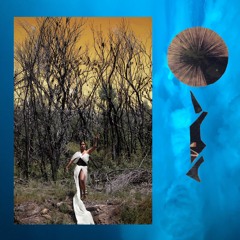 Your Rage Is Necessary, Pt.I