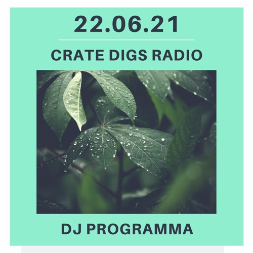22.06.21 | CRAZY P | INTERPLANETARY CRIMINAL | IKONIKA