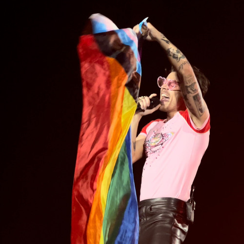 Harry Styles Endlessly COLLAB WITH GARY GO