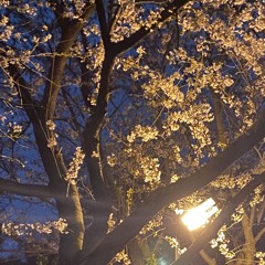 우리 마주 한다면