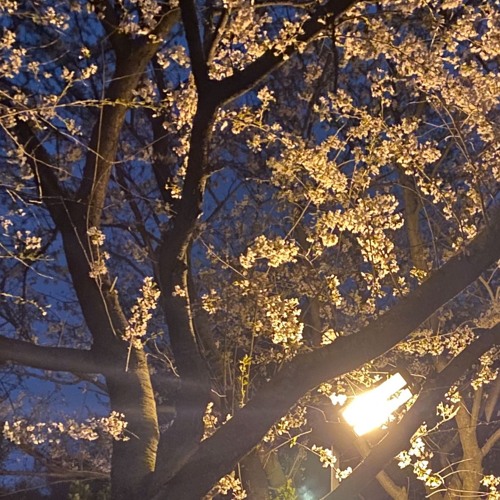 우리 마주 한다면