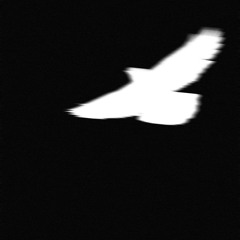 hol up (with. Vidal your friend from school) [prod. Cana Da Ruls]