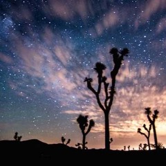 Tripping in Joshua Tree