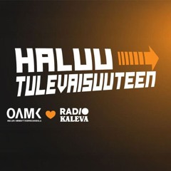 Haluu tulevaisuuteen, osa 5: Ammattikorkeakouluopiskelijoiden työharjoittelut