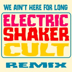 Nathan Dawe - We Ain't Here For Long (Electric Shaker Cult Remix)