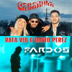 CASANOVA X FARDOS (RAFA VIO & DAVID PEREZ MASHUP)