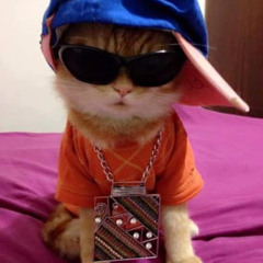 The Coolest MoFo's of the Animal Kingdom - Cats