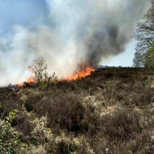Voorlichtingsavond natuurbrandbeheersing