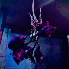 LONSO - everywhere I go ft. ComeUpRepX (slowed and reverb)(Prod. eric godlow)