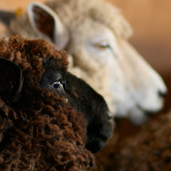 Scream 25.02.24 mix 2