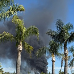 Children of the Corn 🌽 🎃🌋