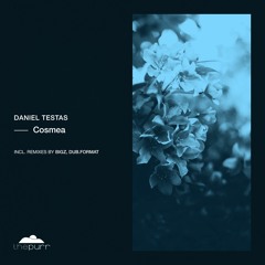 Daniel Testas - Cosmea (BiGz Remix)