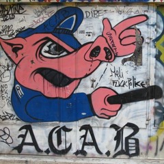 A.C.A.B 303 (clip)