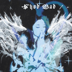 Shod Bad