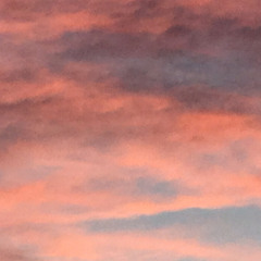 My Way [Prod.Beatzbydb]