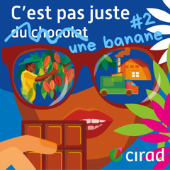 Plus de bananes, moins de pesticides - S6E2