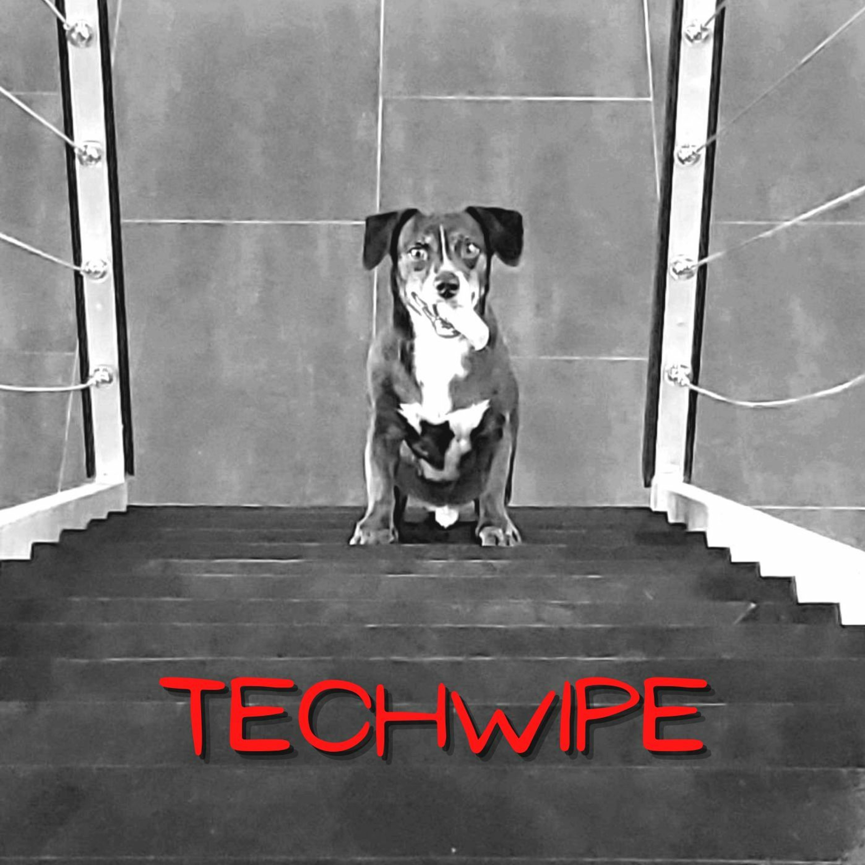 The Techwipe Experience