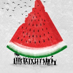 Watermelon Seeds