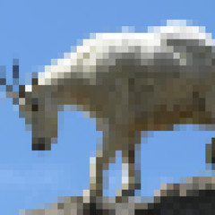 mark raines - goat baaa (prod. getdripp) [BASHDAE EXCLUSIVE]