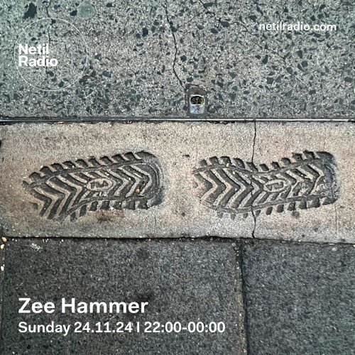 Zee Hammer - 24th November 2024